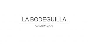 Logotipo-La-Bodeguilla1